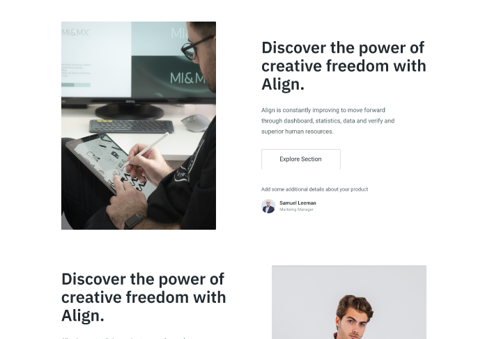 Align – Business Consulting Landing Page  3