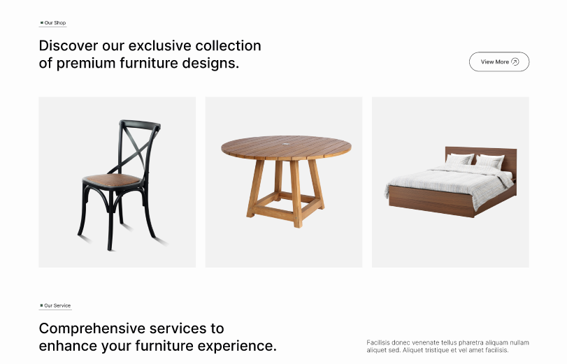 Homeiifys – Furniture Website  3
